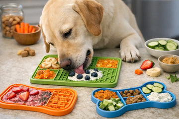 10 Lick Mat Recipes for Dogs to Try