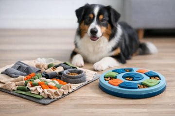 Dog Enrichment Mat Versus Puzzle Feeder