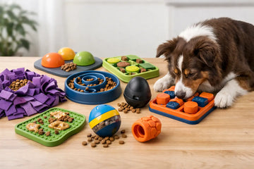 8 Best Dog Enrichment Feeding Tools