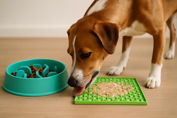 Slow Feeder vs Lick Mat: Which Works Best?