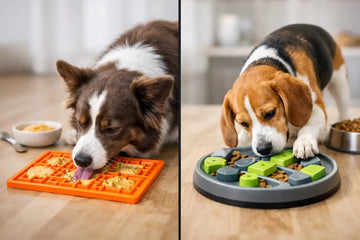 Dog Lick Mat vs Puzzle Bowl: Which Works?