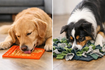 Lick Mat vs Snuffle Mat: Which Is Better?
