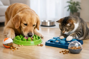 How to Reduce Mealtime Boredom for Pets