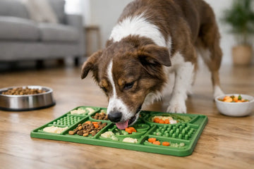 Slow Feeder Mat Review: Is It Worth It?