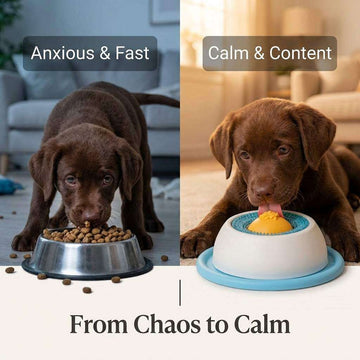 Slow Feeder Lick Mat for Dogs  Slow Feeder Lick Mat Calm Healthy Mealtimes for Dogs & Cats  